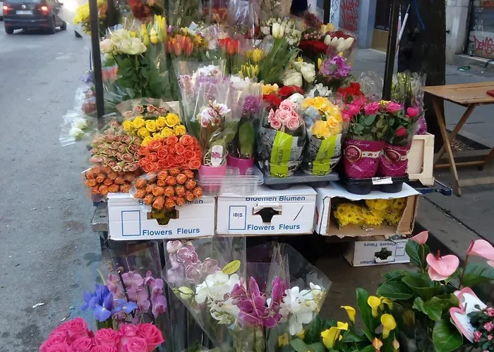 Max House Frühstückspension