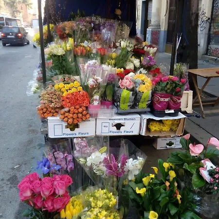 Max House Alojamento de Acomodação e Pequeno-almoço